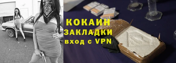 сатива Инсар