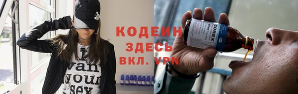 прущие грибы Заволжск