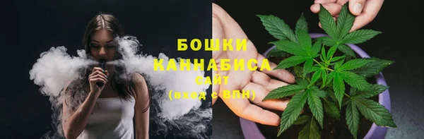 крисы Инта