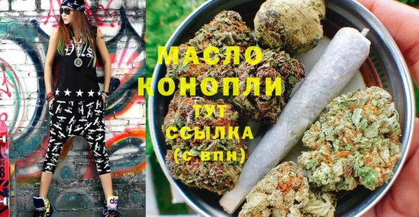 сатива Инсар