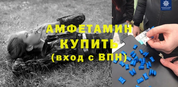 крисы Инта