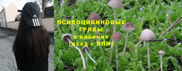 крисы Инта