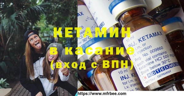 крисы Инта
