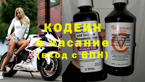 крисы Инта