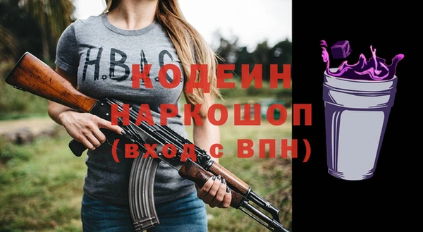 дживик Ельня
